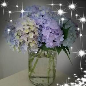 Meet your Posher, Debra